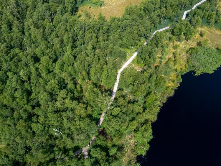 Sti ved Bøllemosen
